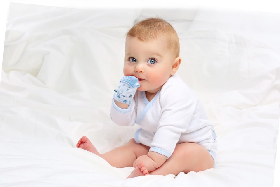 Babyjem Diş Kaşıyıcı Eldiven Kirpi Pembe 612
